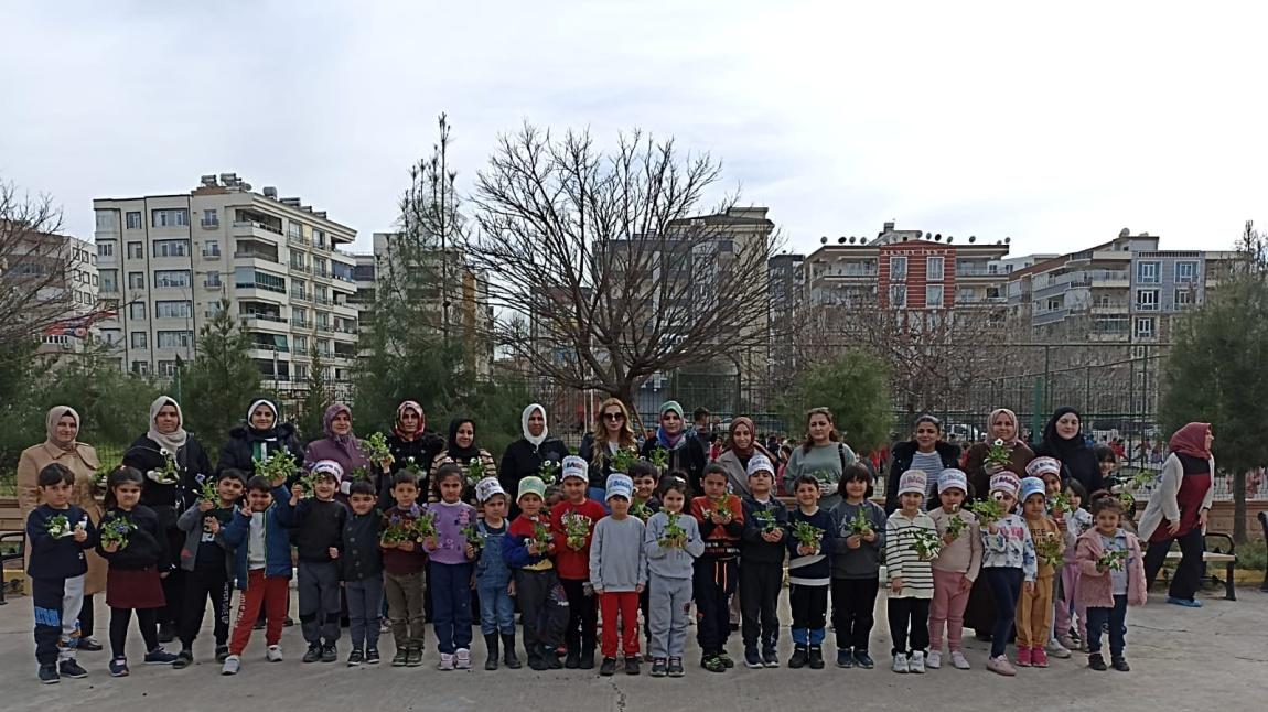 BİGEP Projesi Mart ayı Anne Atölyesi fidan ekimi yapıldı